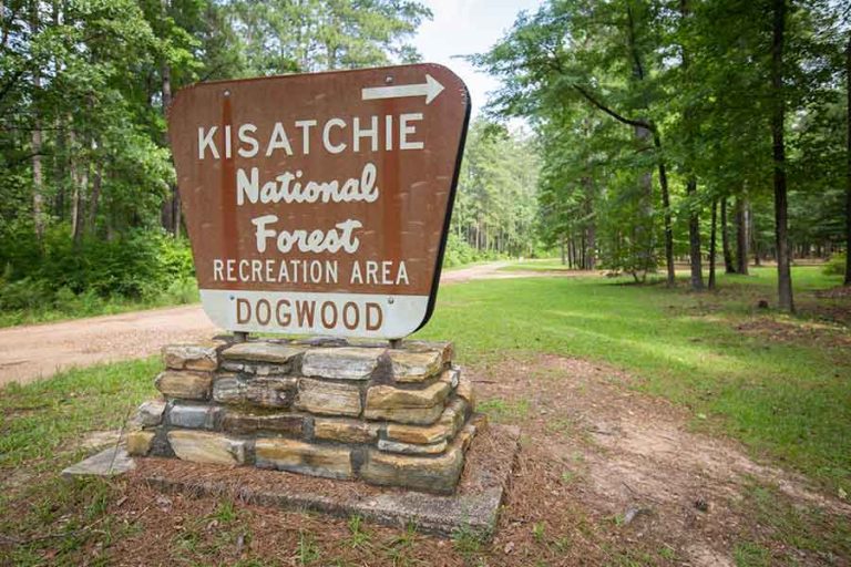 Kisatchie National Forest