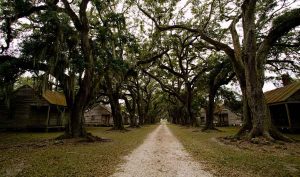 EVERGREEN-PLANTATION_SLAVE-COTTAGES_CREDIT-LOT_WEBP