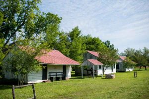 FROGMORE-PLANTATION-021_CREDIT-LOT_WEBP