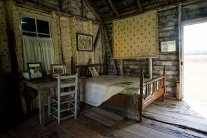 FROGMORE-PLANTATION-022_CREDIT-LOT_WEBP