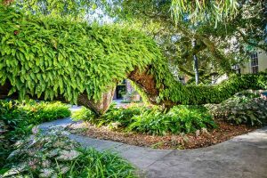 HOUMAS-HOUSE_022_CREDIT-LOT_WEBP