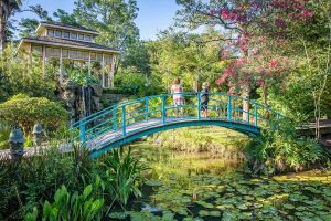 HOUMAS-HOUSE_050_CREDIT-LOT_WEBP