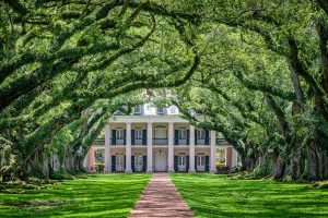 OAK-ALLEY-PLANTATION_020_CREDIT-LOT_WEBP