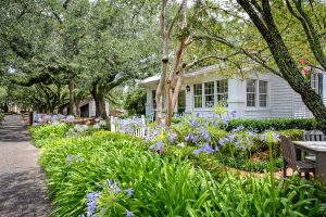 OAK-ALLEY-PLANTATION_036_CREDIT-LOT_WEBP