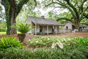 OAK-ALLEY-PLANTATION_046_CREDIT-LOT_WEBP