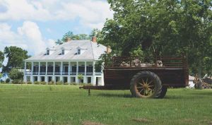 ST-JOSEPH-PLANTATION-1021_CREDIT-LOT_WEBP